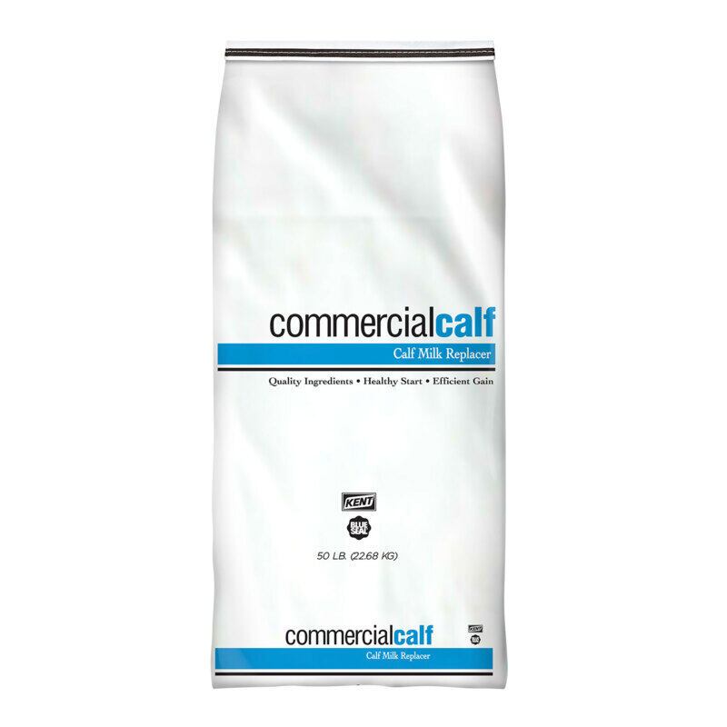 Commercial Calf