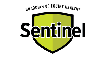 Sentinel logo