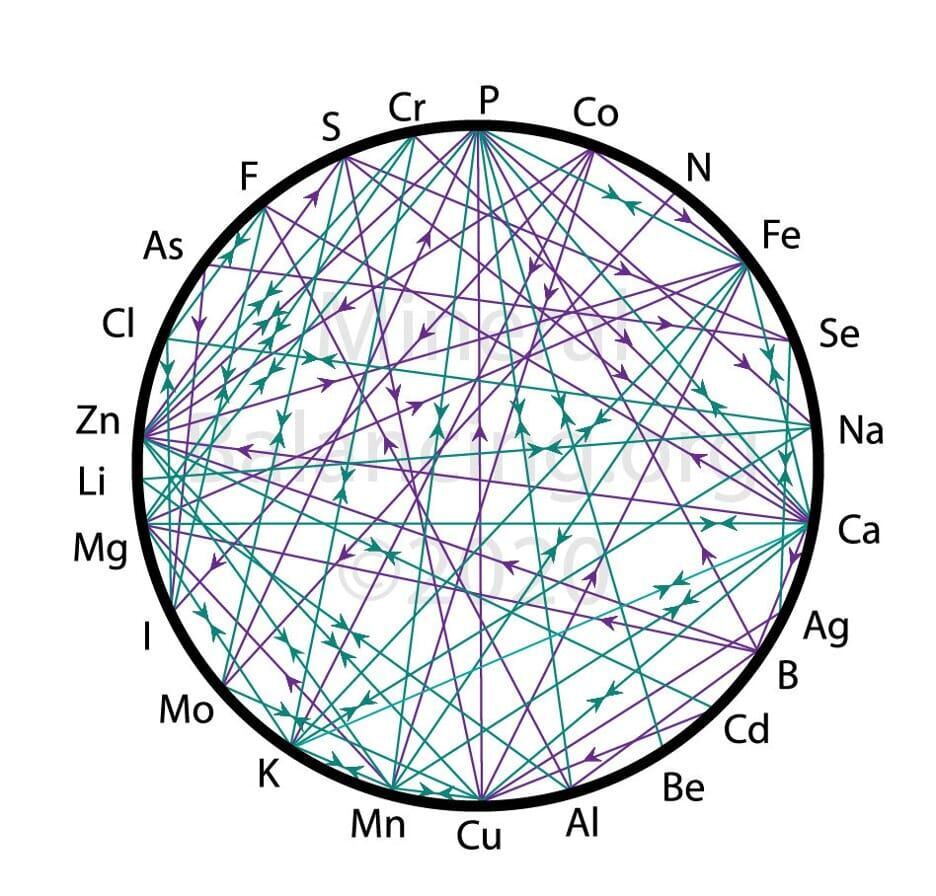 Figure 1. The “mineral wheel” of interactions across minerals.