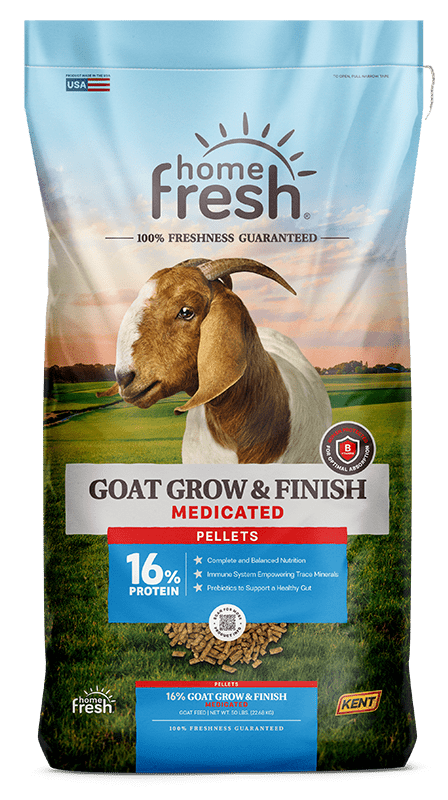 Goat Grow & Finish Medicated