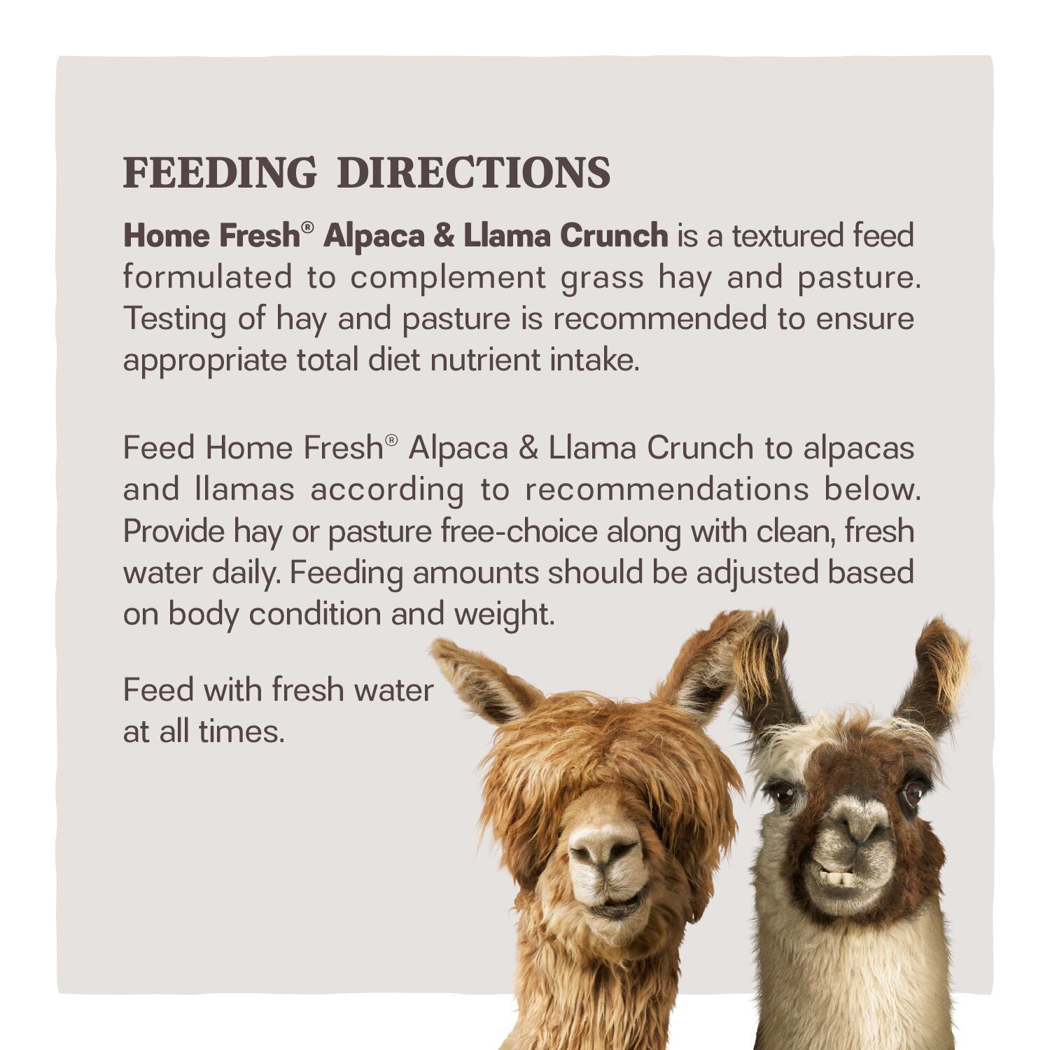 Home Fresh Alpaca & Llama Crunch
