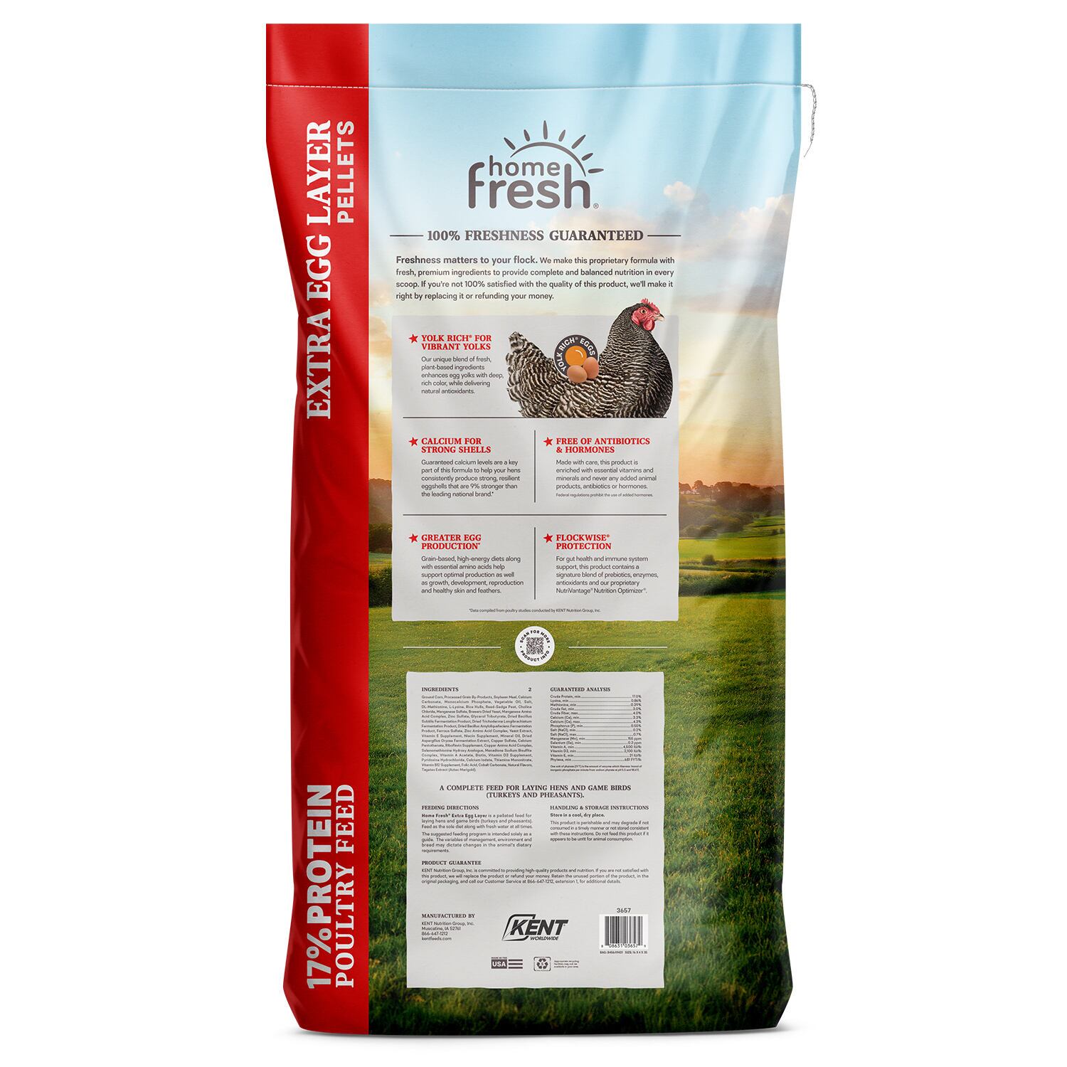 Home Fresh Extra Egg Layer