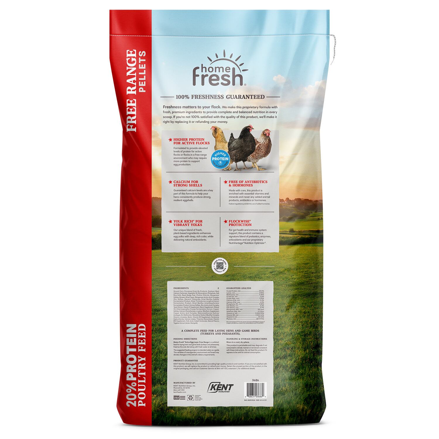 Home Fresh Extra Egg Layer Free Range