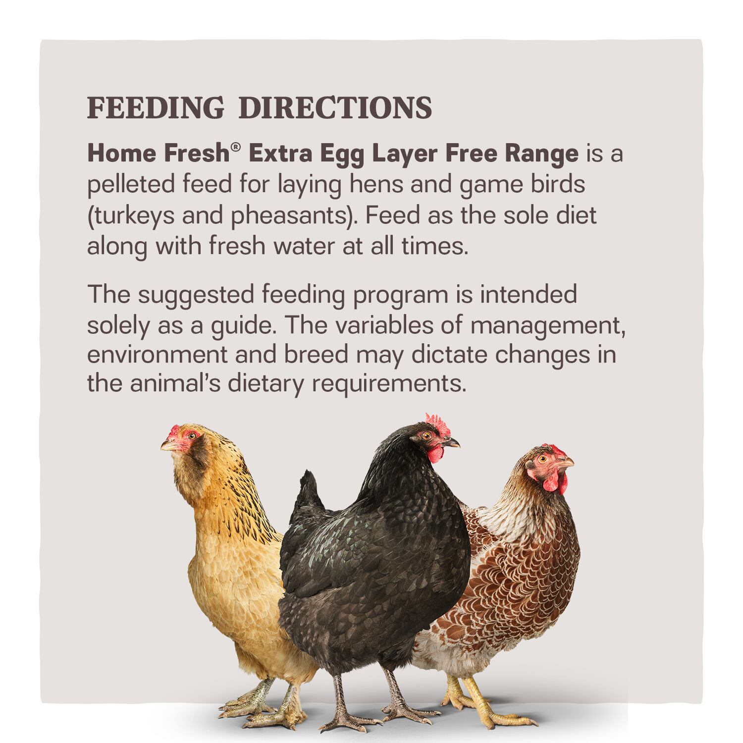 Home Fresh Extra Egg Layer Free Range
