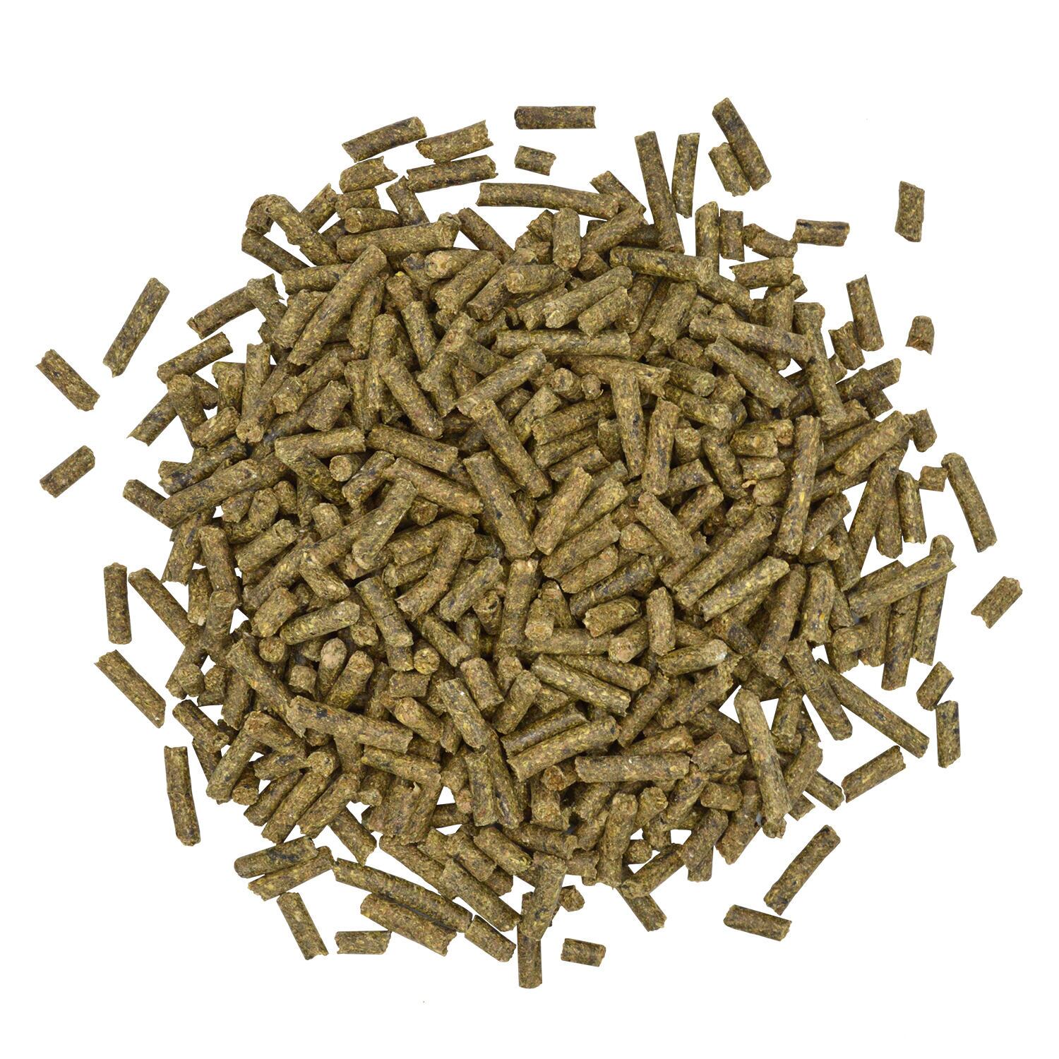 Sentinel Care Gastric Support