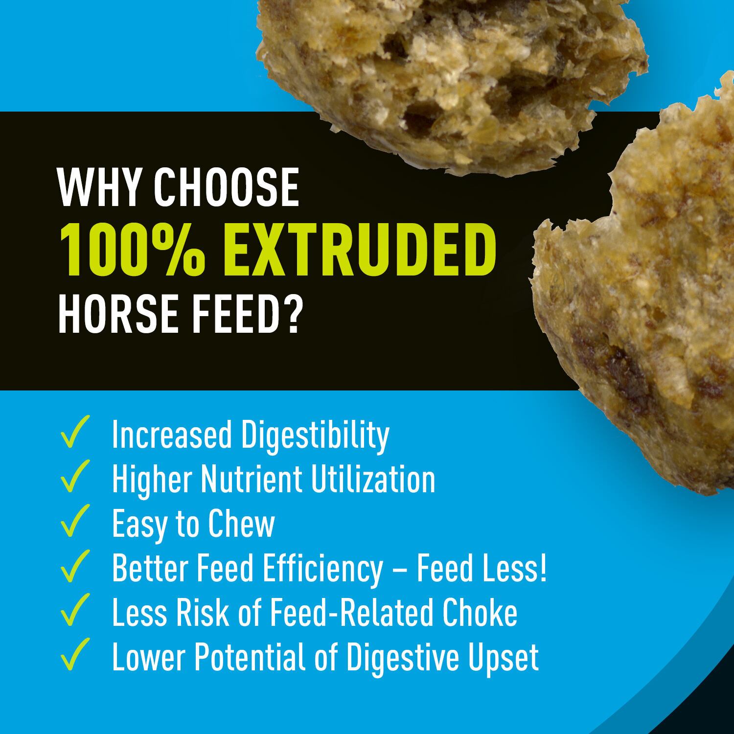 Sentinel Grow & Excel