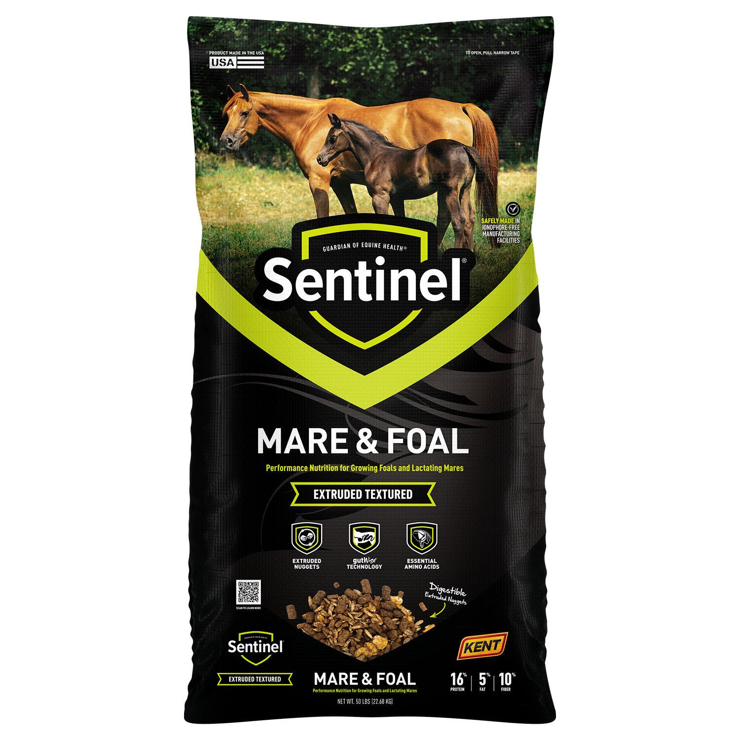 Sentinel Mare & Foal