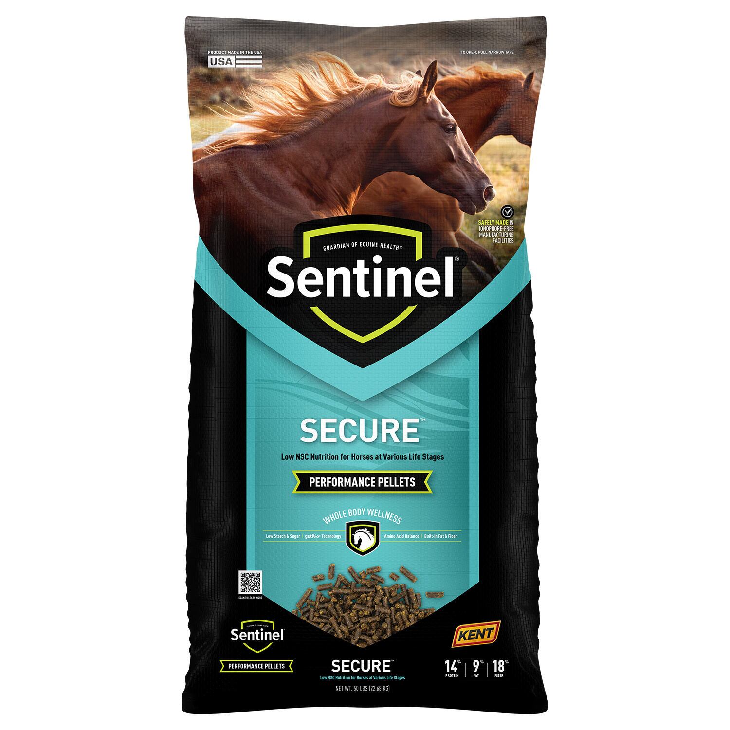 Sentinel Secure