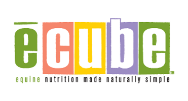 ecube logo