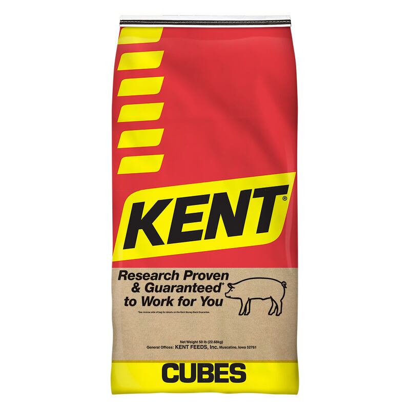 19% Rodent Diet