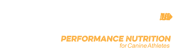 Native logo