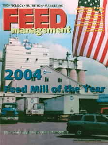2004 2004