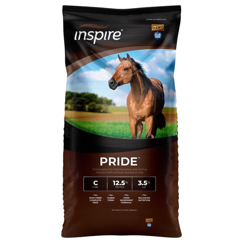 Inspire Pride