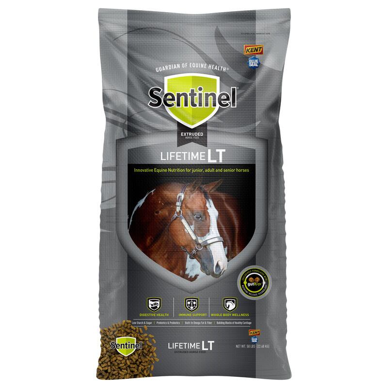 Sentinel LifeTime