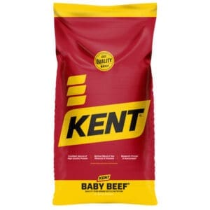 Baby Beef 44