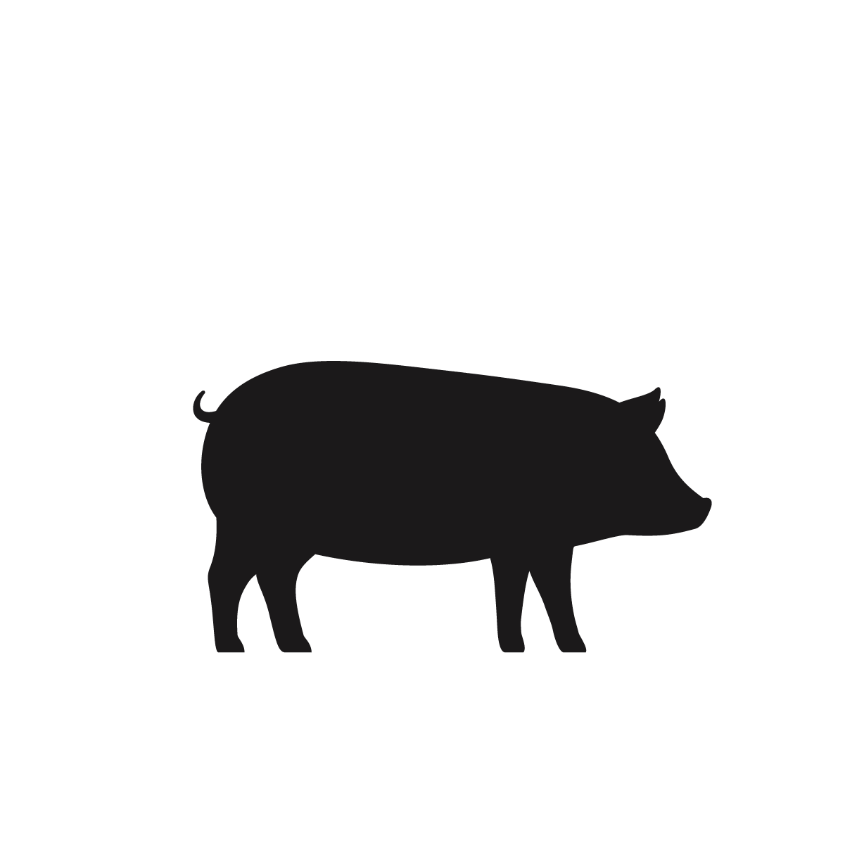 Swine