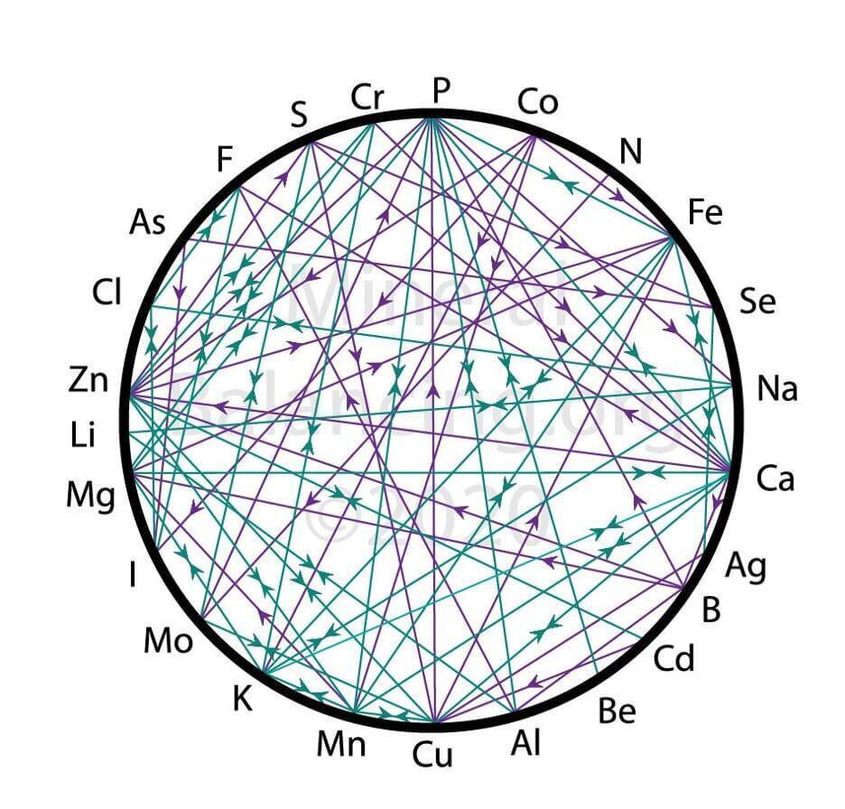 Figure 1. The “mineral wheel” of interactions across minerals.