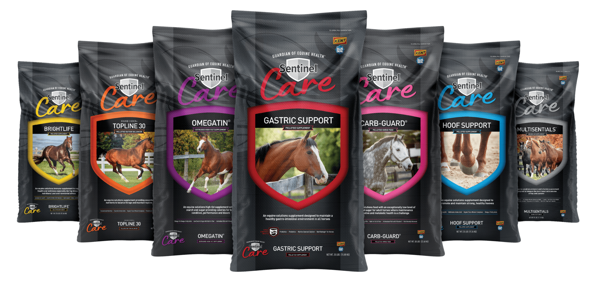 Sentinel Care Full Lineup of Horse products