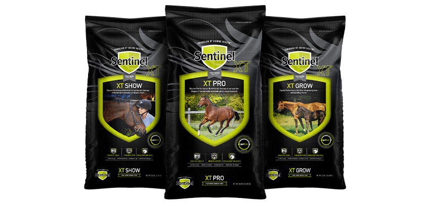 Sentinel XT Textured Horse Feed