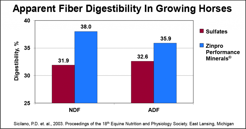 Chart highlighting apparent fiber digestibility in growing horses 