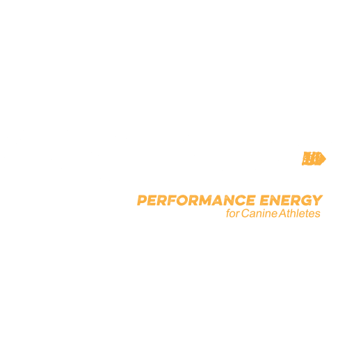 the Native logo