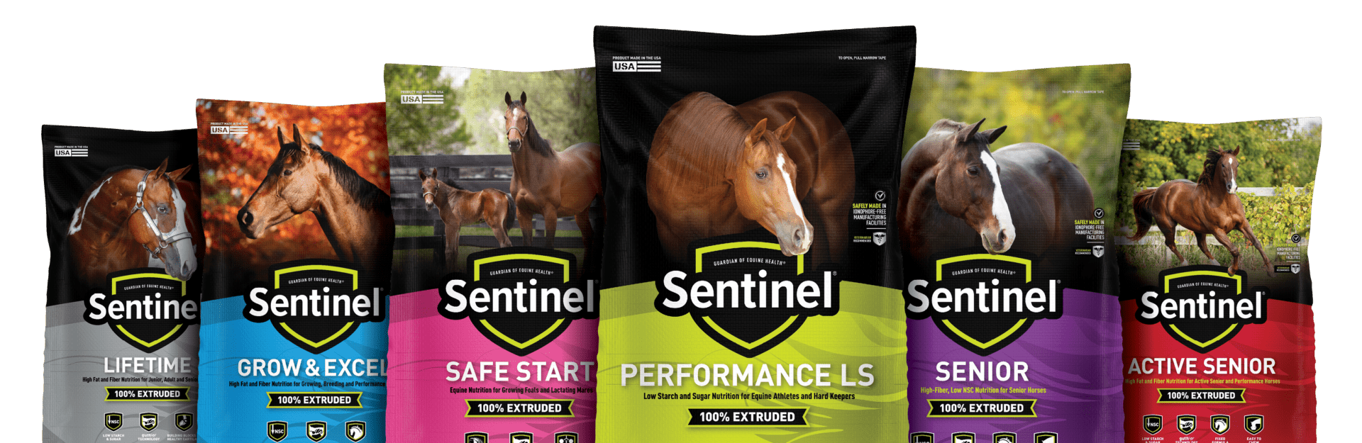 Sentinel_Extruded_Lockup_F