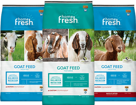 UBS-home-fresh-lockup-GOAT_452