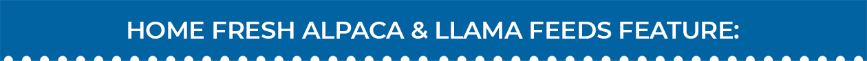 Blue Seal Home Fresh Alpaca & Llama Features