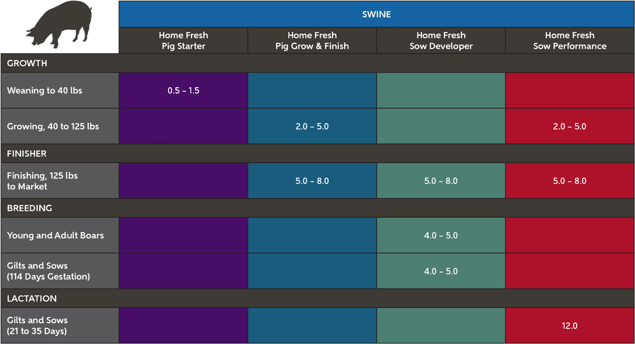 Blue Seal Home Fresh Swine Feeding Suggestions chart