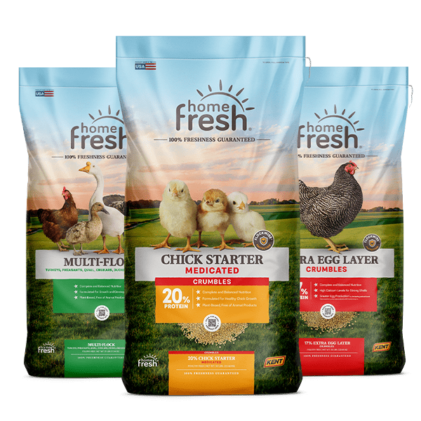 chick-days-home-fresh-poultry-lineup