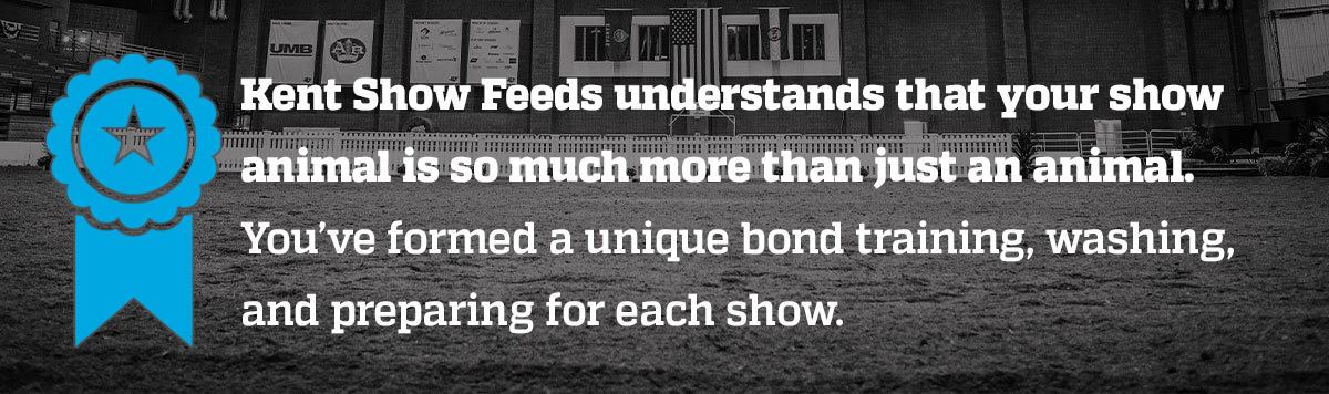 kent-understands-intro-box_BLUE_1200