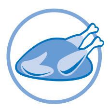 Nutritious Protein icon