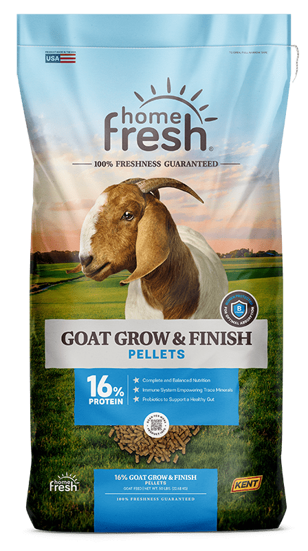 Goat Grow & Finish
