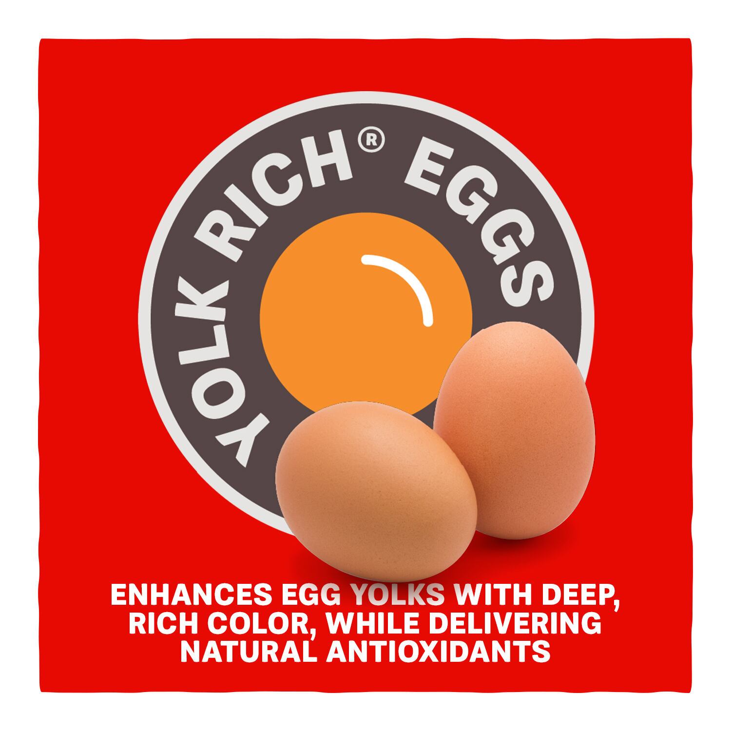 Home Fresh Extra Egg Layer