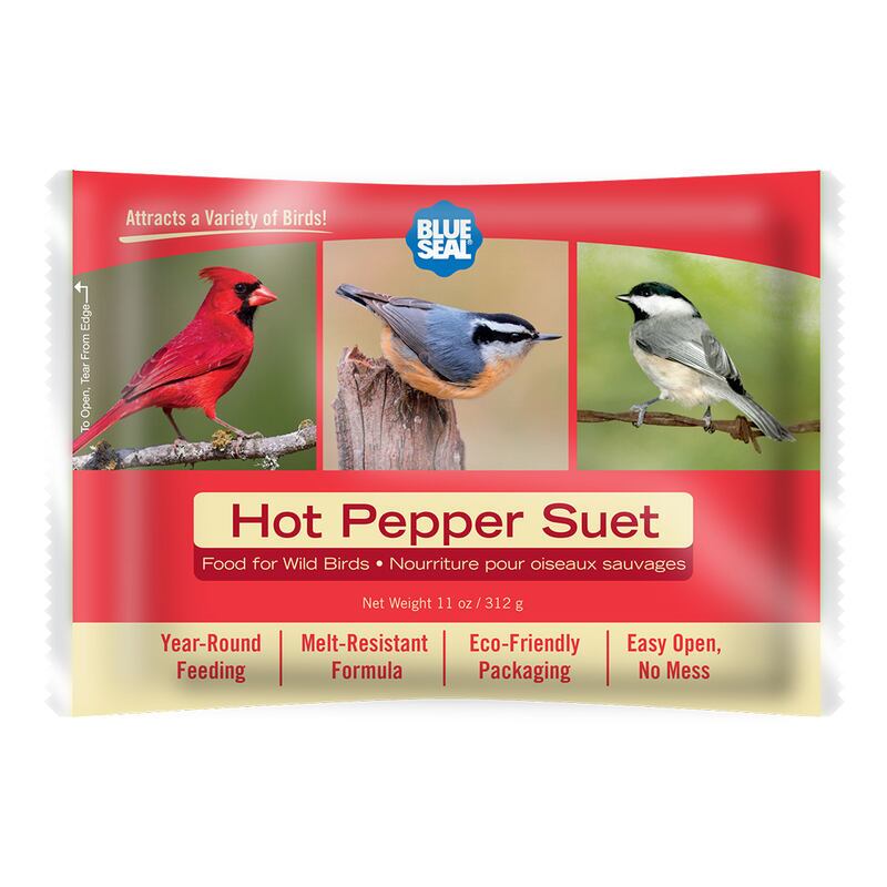 Hot Pepper Suet Cake