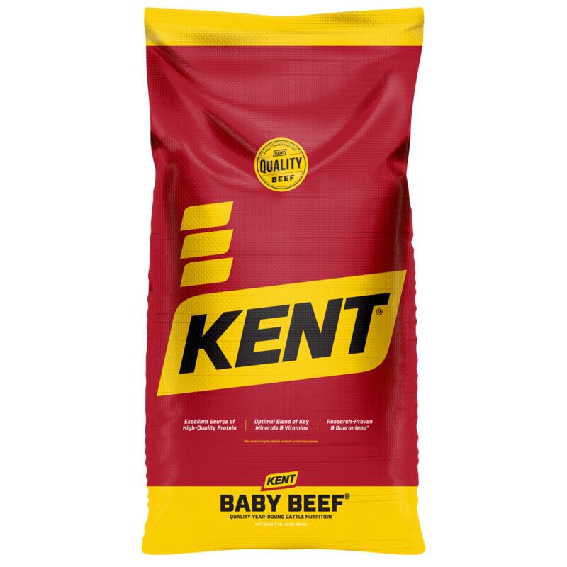 Baby Beef 44