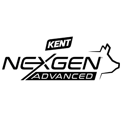 Nexgen logo