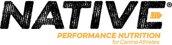 Native logo