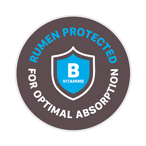 Rumen Protected badge