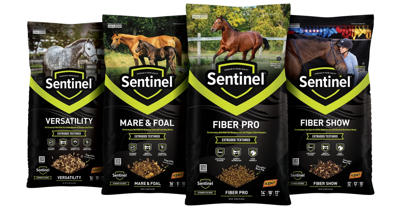 Sentinel XT Lockup (webp)