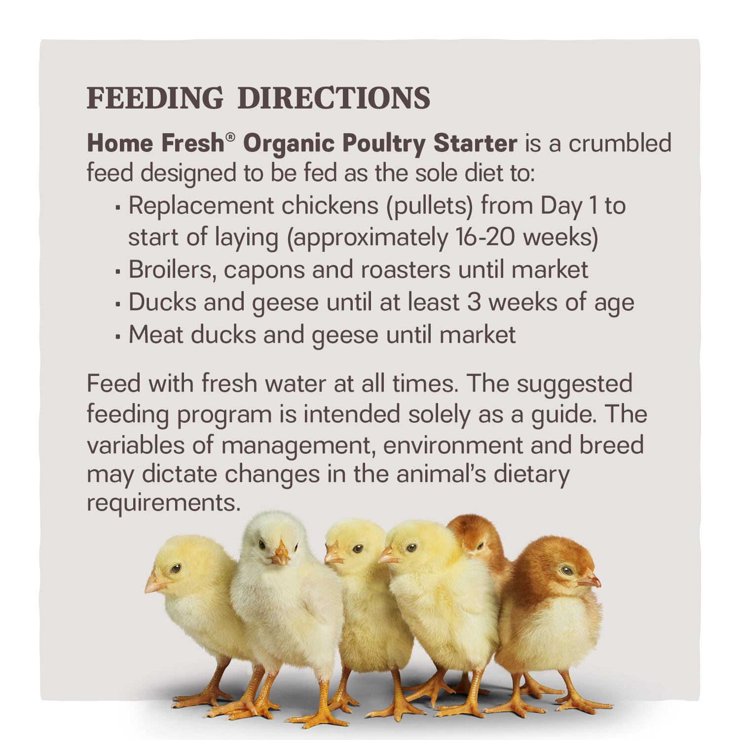 Home Fresh Organic Starter Crumble