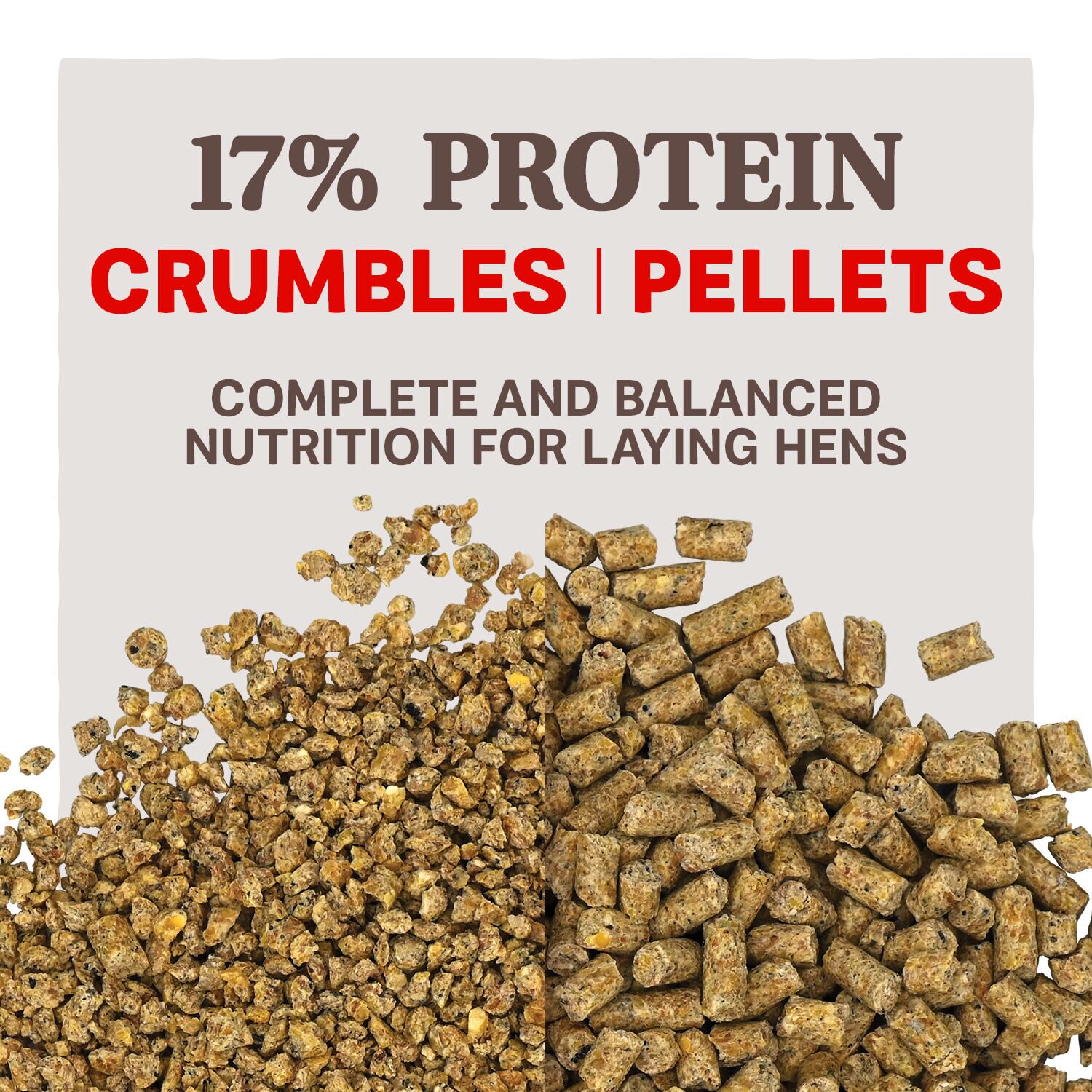 Home Fresh Extra Egg Layer