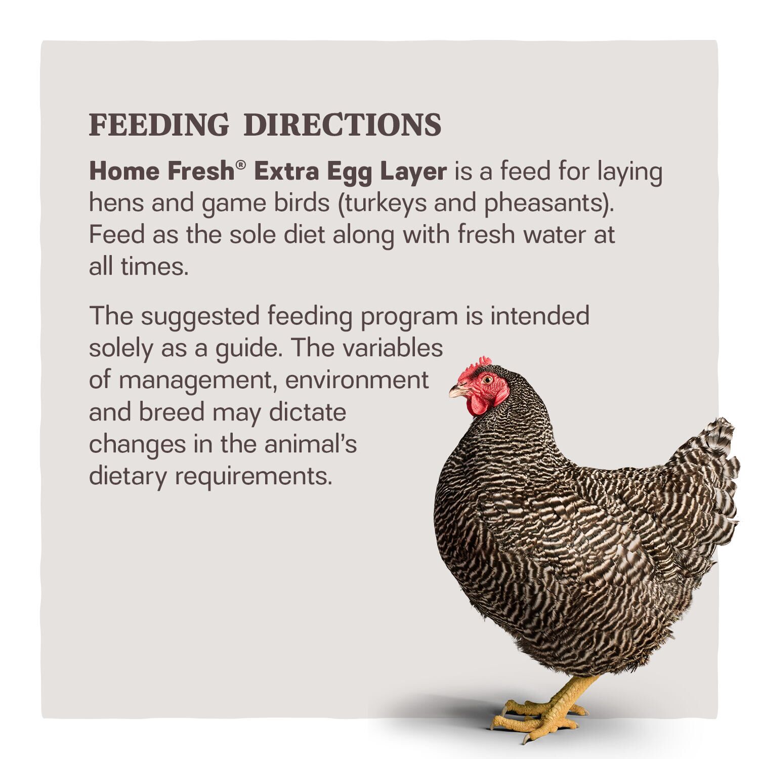 Home Fresh Extra Egg Layer