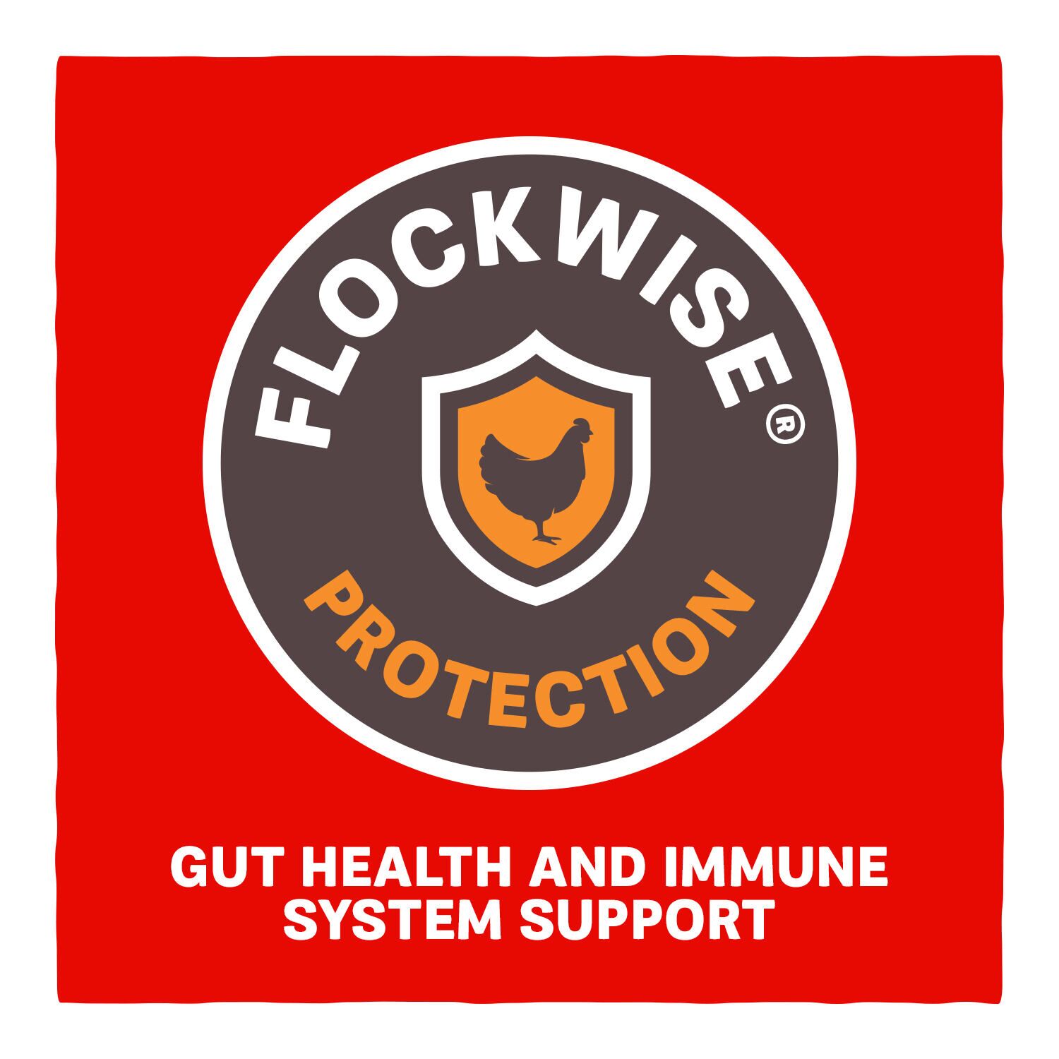 Home Fresh Extra Egg Layer