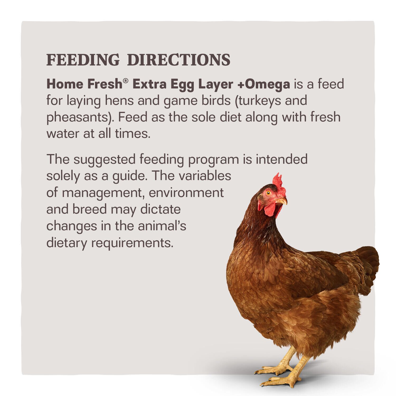 Home Fresh Extra Egg Layer + Omega