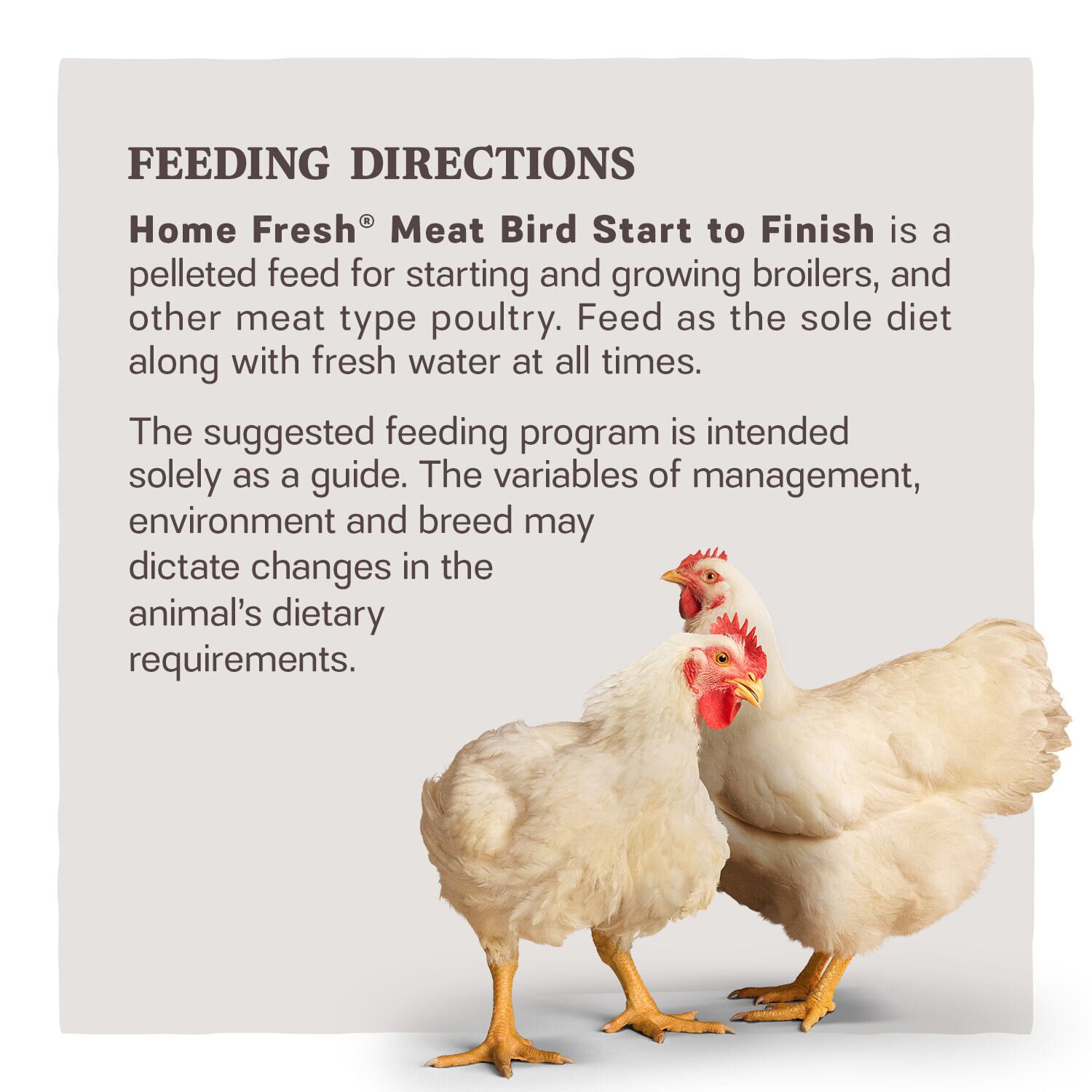 Home Fresh Meat Bird Start to Finish