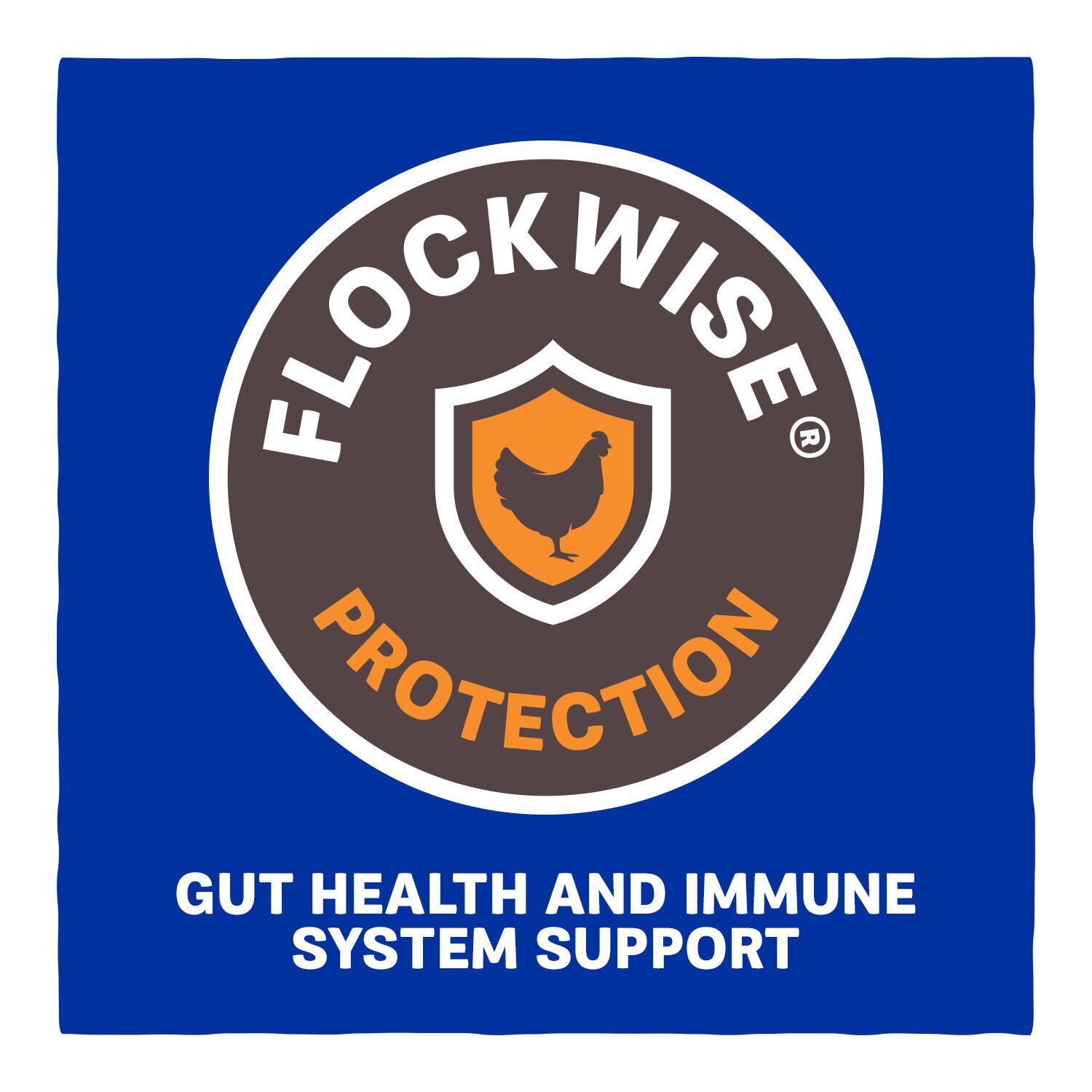 Home Fresh Meat Bird Start to Finish