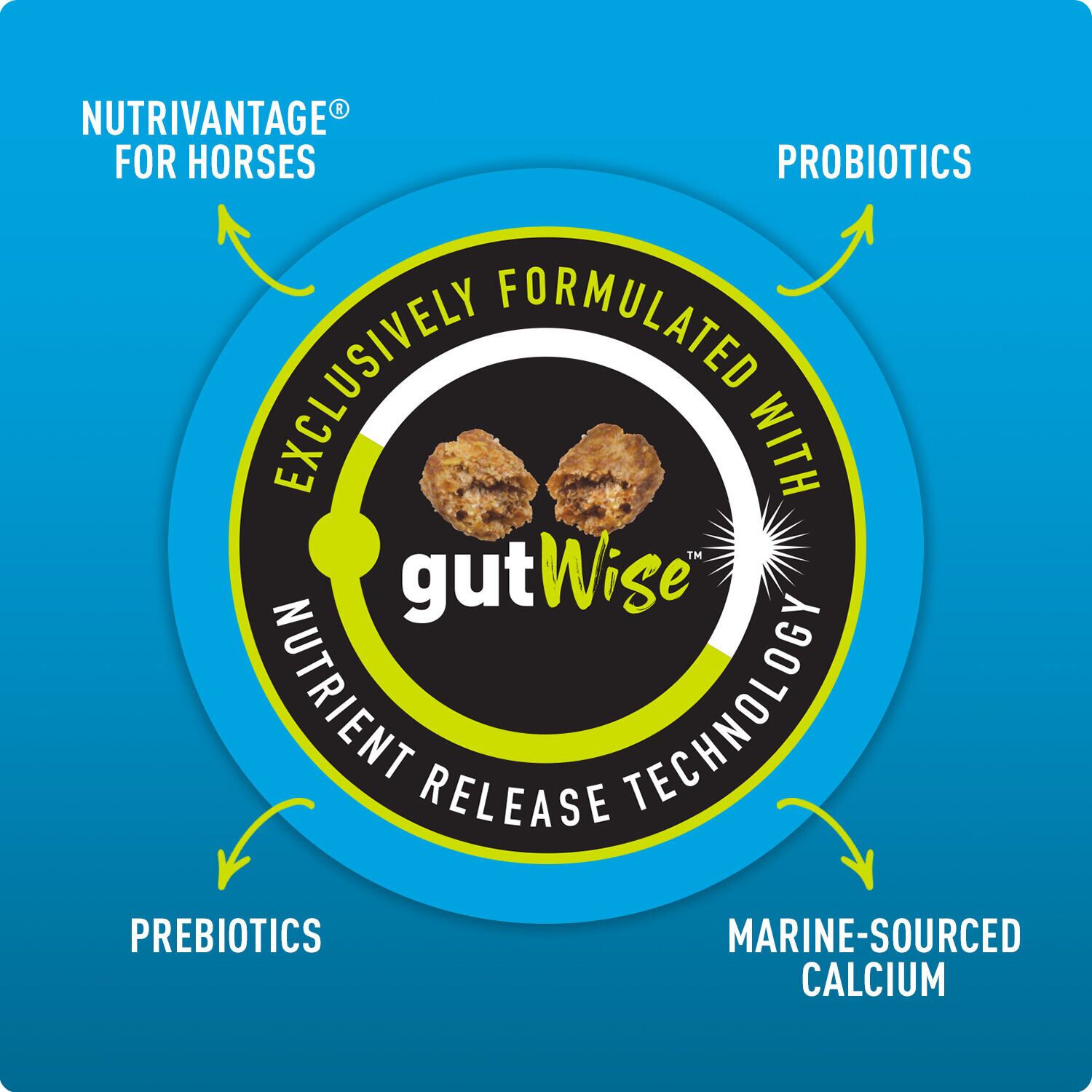Sentinel Grow & Excel