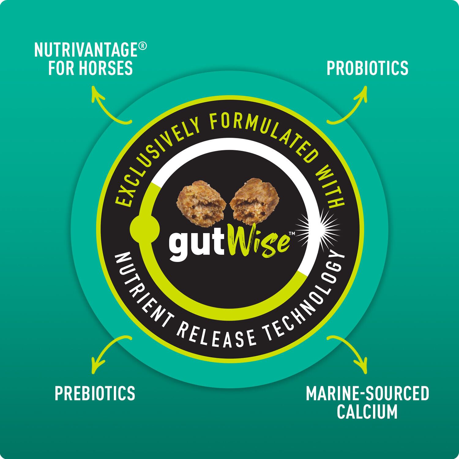 Sentinel Simply Lite