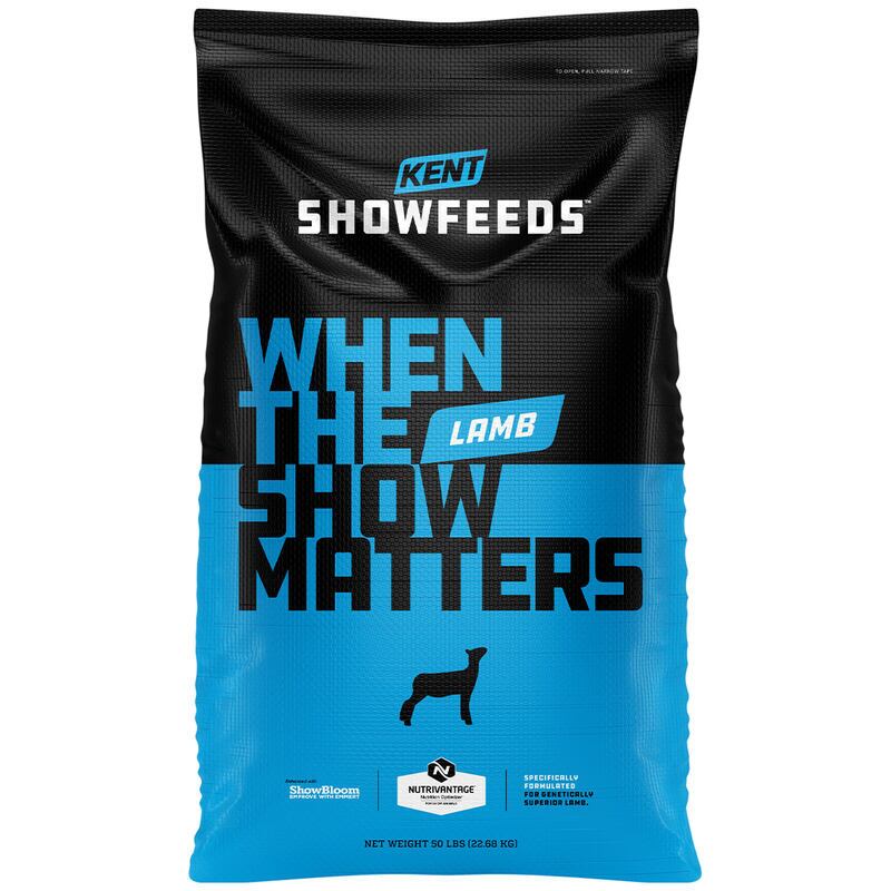 Show Lamb Breeze 45DQ